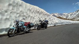 Home-Gavia.jpg