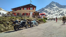 Passo Gavia Stop.jpg