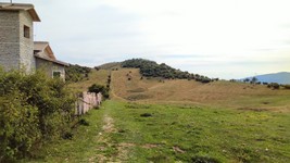 IMG_20190816_1659572.jpg