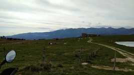 IMG_20190816_1708426.jpg