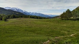 IMG_20200524_0910596.jpg