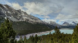 IMG_20200524_1234299.jpg