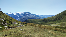 Col d