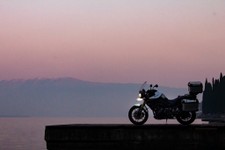 IMG_1488.jpg